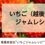 苺の花ことばブログ-04-22-2025_10_48_PM4
